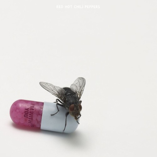 Cover artwork for I'm With You