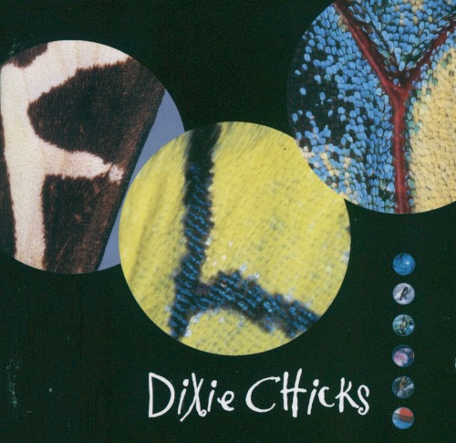 Cover artwork for Fly