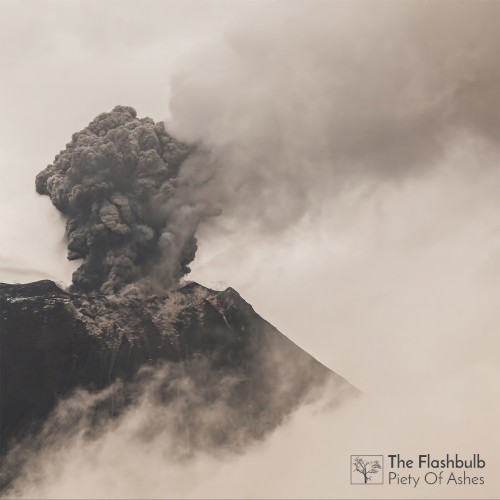 Cover artwork for Piety Of Ashes